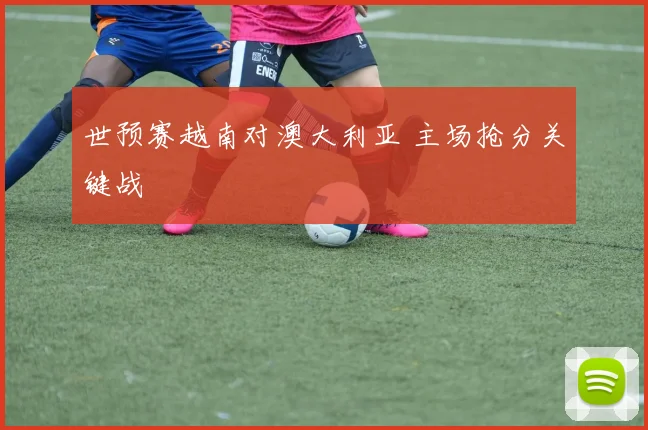 世预赛越南对澳大利亚 主场抢分关键战