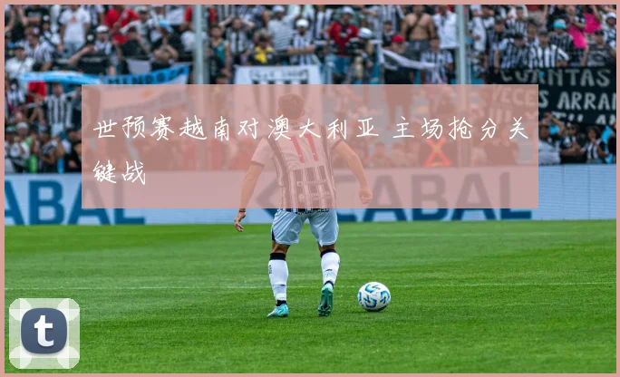 世预赛越南对澳大利亚 主场抢分关键战