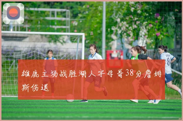 雄鹿主场战胜湖人字母哥38分詹姆斯伤退