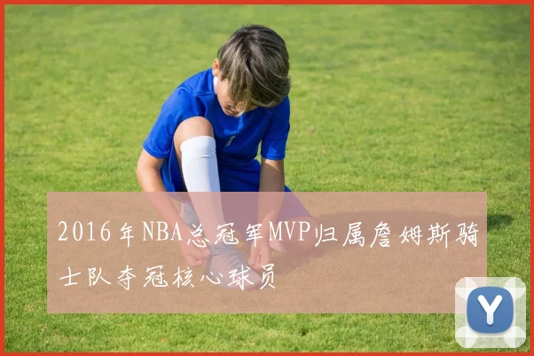 2016年NBA总冠军MVP归属詹姆斯骑士队夺冠核心球员