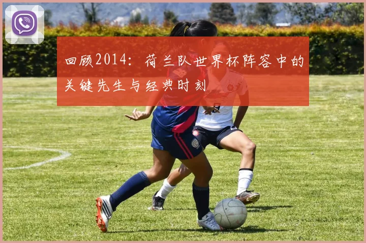 回顾2014:荷兰队世界杯阵容中的关键先生与经典时刻