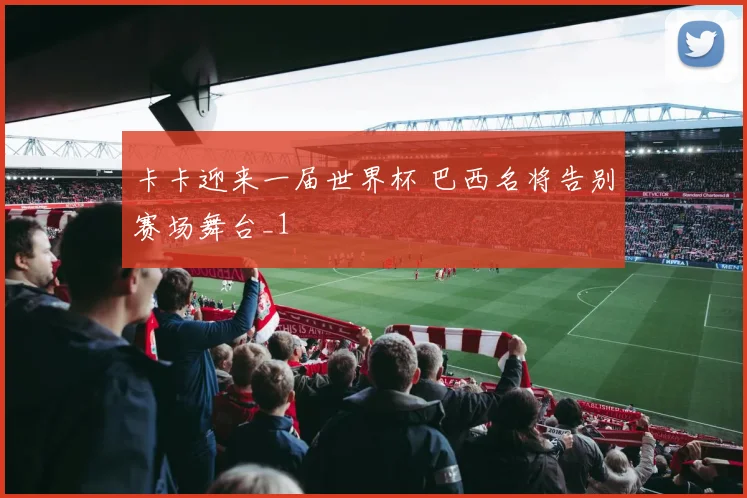 卡卡迎来一届世界杯 巴西名将告别赛场舞台_1