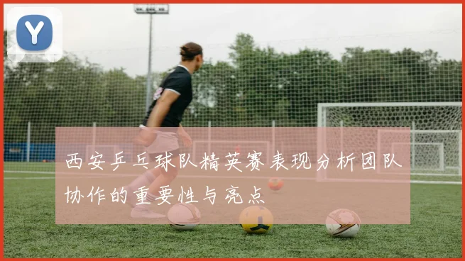 西安乒乓球队精英赛表现分析团队协作的重要性与亮点