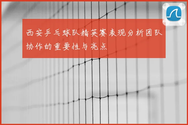 西安乒乓球队精英赛表现分析团队协作的重要性与亮点